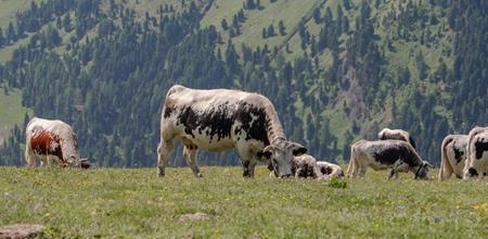 -julian-geiser-32-von-76