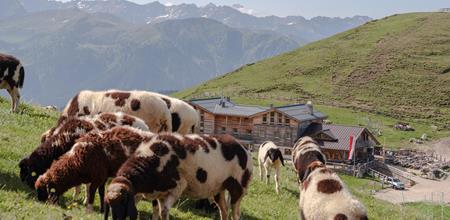 -julian-geiser-13-von-76